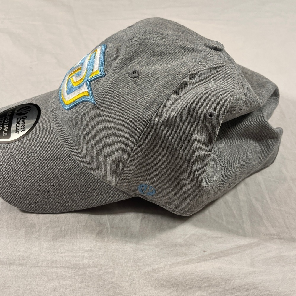 Desert Cactus Southern University Jaguars Hat Adult OS Grey NEW Adjustable Logo - Picture 2 of 7